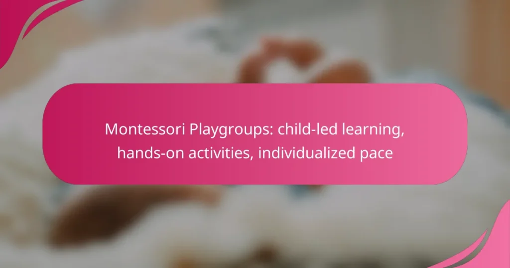 Montessori Playgroups: child-led learning, hands-on activities, individualized pace