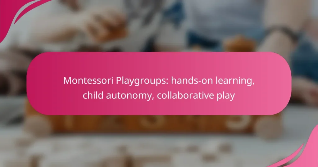 Montessori Playgroups: hands-on learning, child autonomy, collaborative play