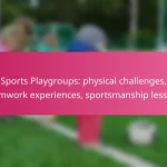 Sports Playgroups: physical challenges, teamwork experiences, sportsmanship lessons