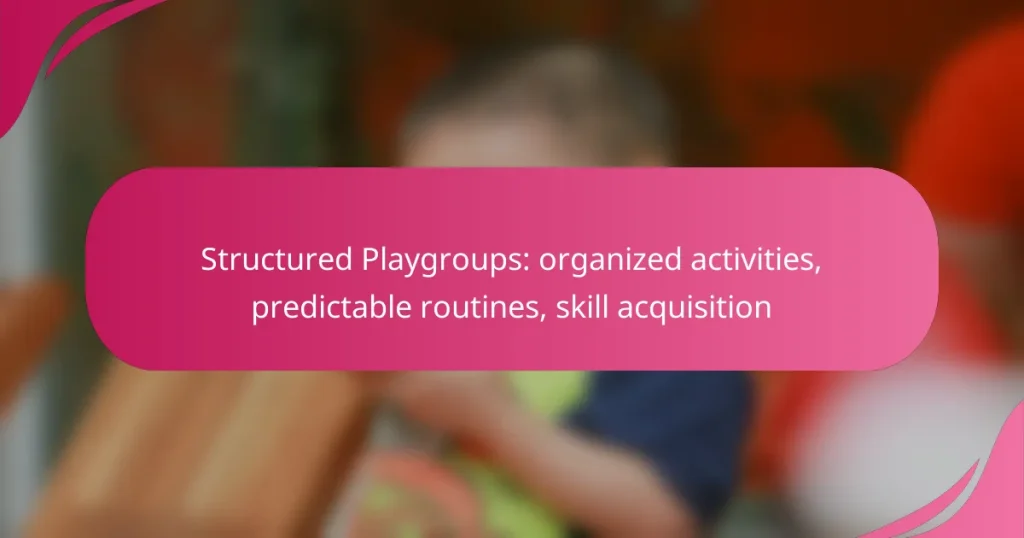 Structured Playgroups: organized activities, predictable routines, skill acquisition