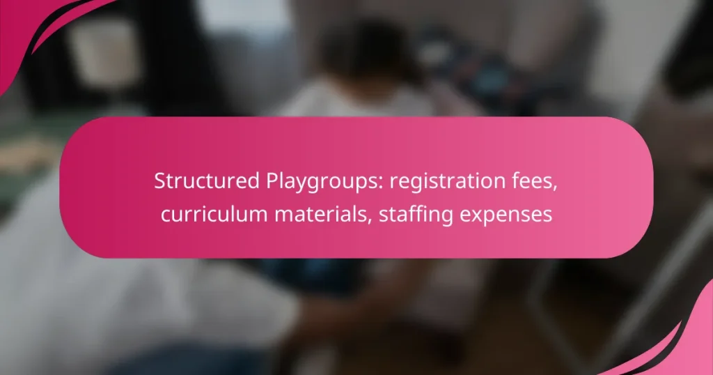 Structured Playgroups: registration fees, curriculum materials, staffing expenses