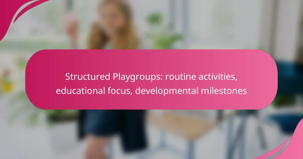 Structured Playgroups: routine activities, educational focus, developmental milestones