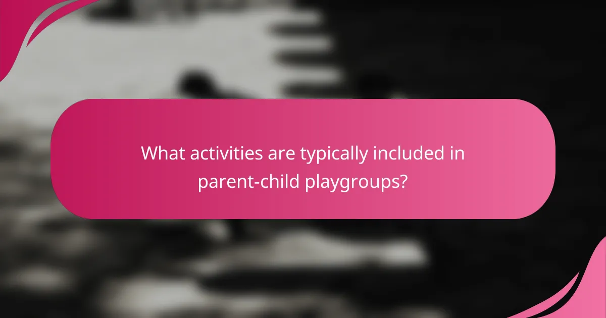 What activities are typically included in parent-child playgroups?