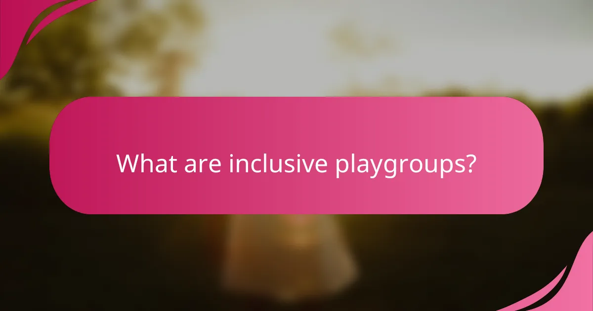 What are inclusive playgroups?