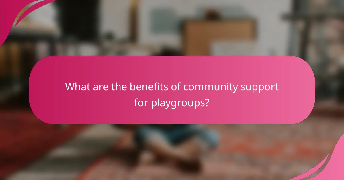 What are the benefits of community support for playgroups?