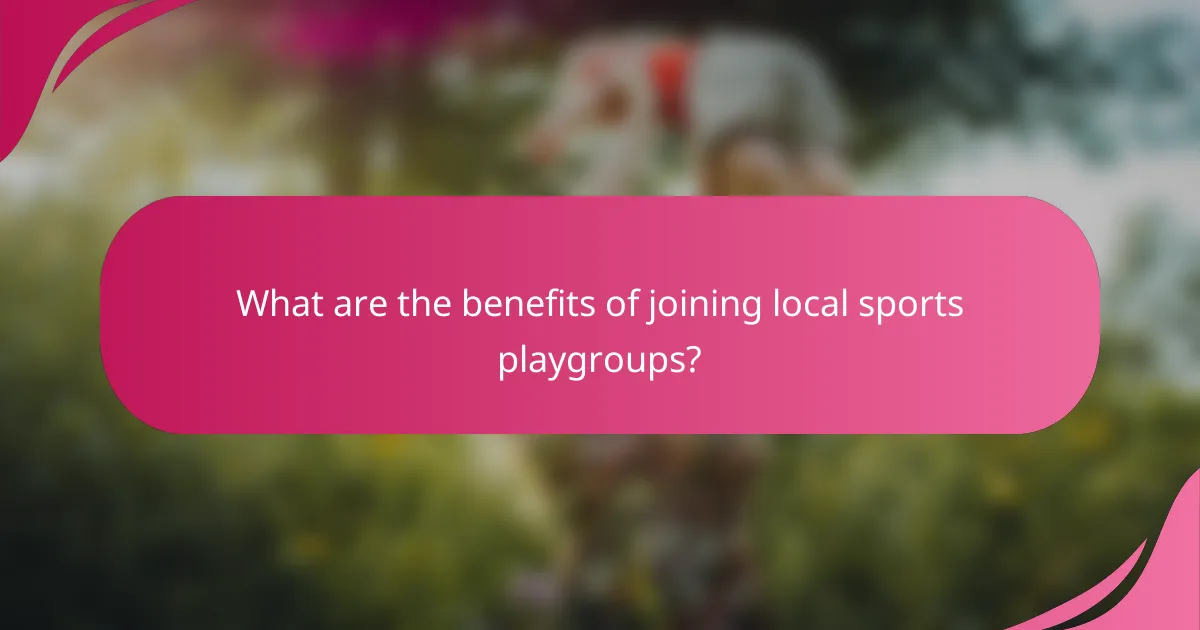 What are the benefits of joining local sports playgroups?