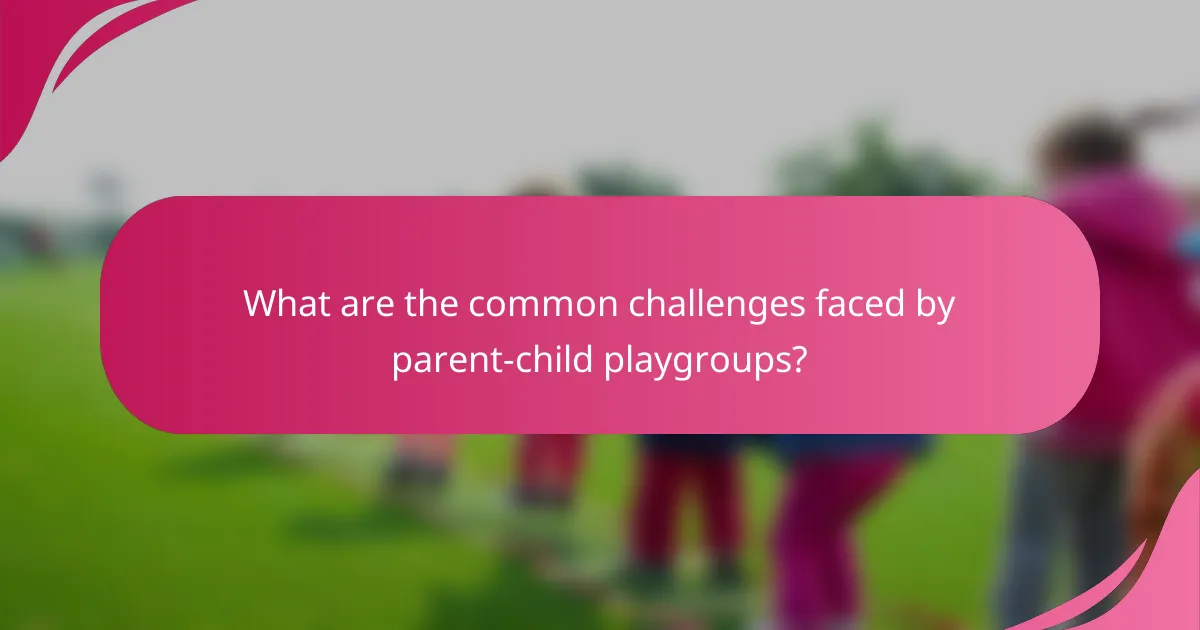 What are the common challenges faced by parent-child playgroups?