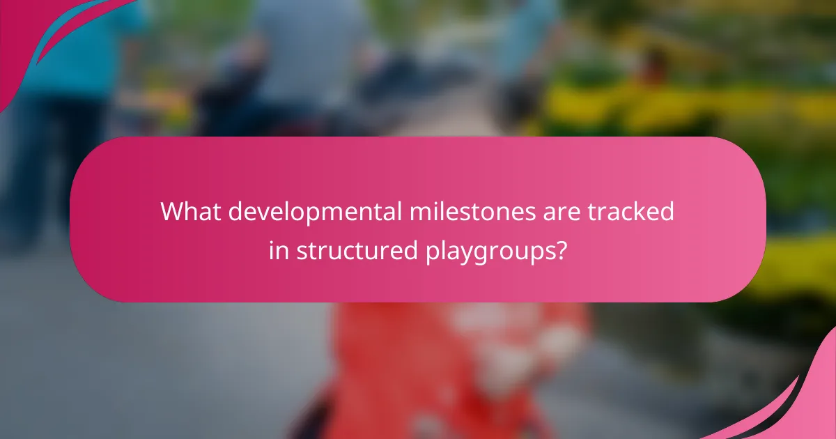 What developmental milestones are tracked in structured playgroups?