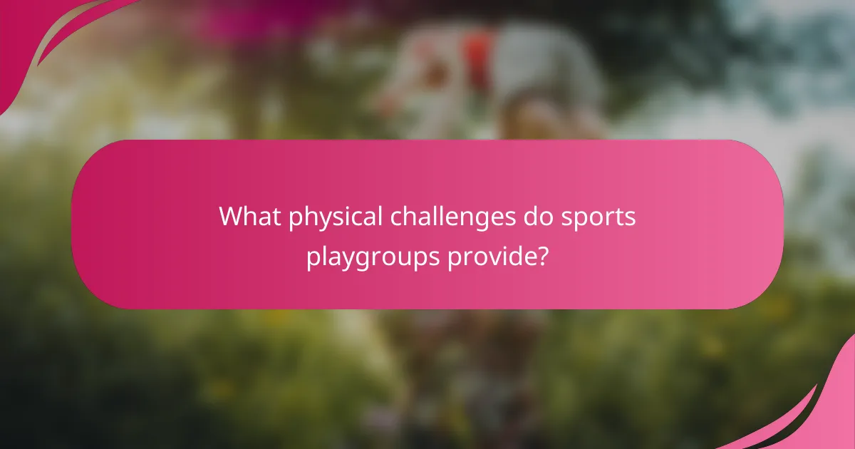 What physical challenges do sports playgroups provide?