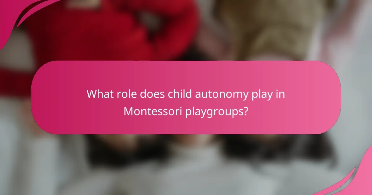 What role does child autonomy play in Montessori playgroups?