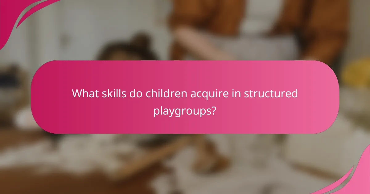 What skills do children acquire in structured playgroups?