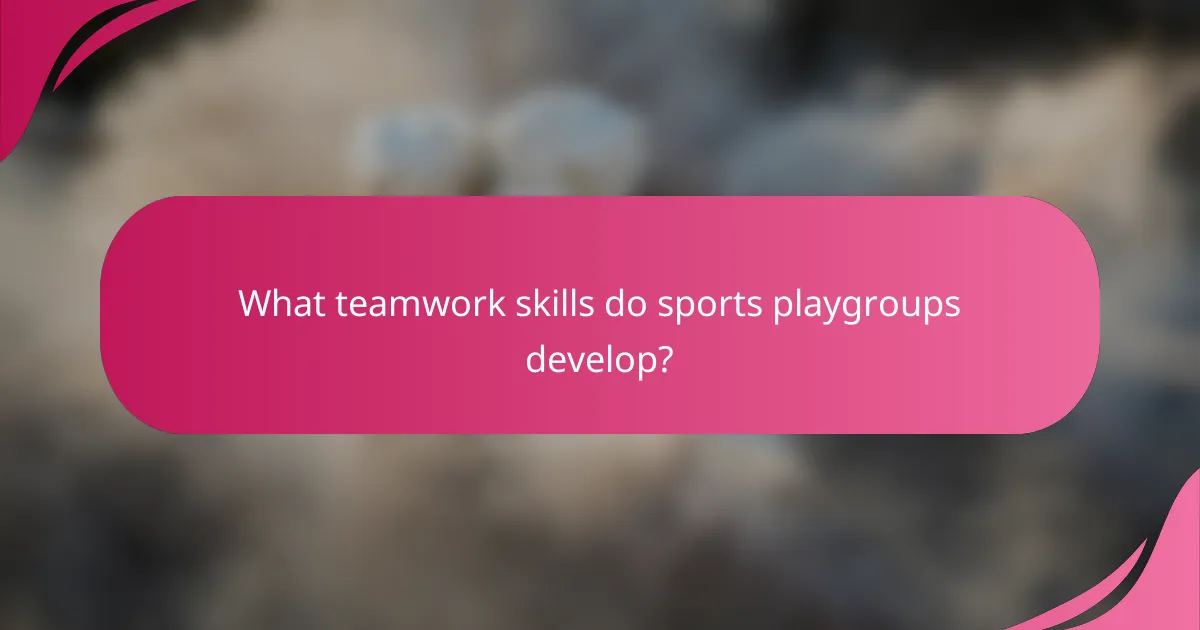 What teamwork skills do sports playgroups develop?